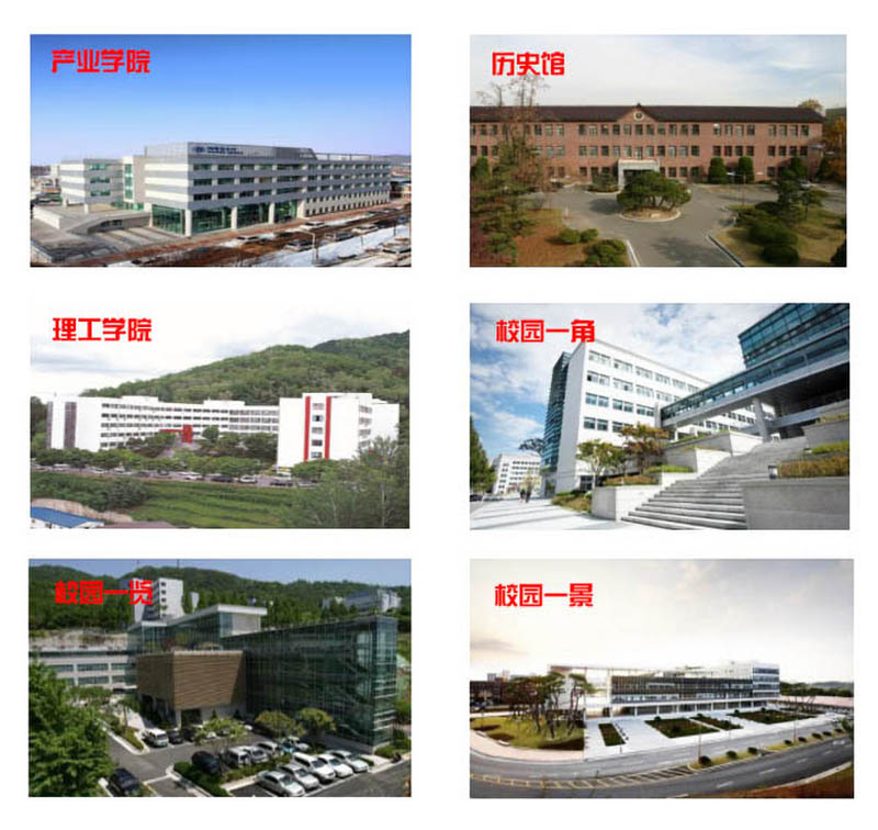 1560429911540291.jpg QINGZHOU017a.jpg